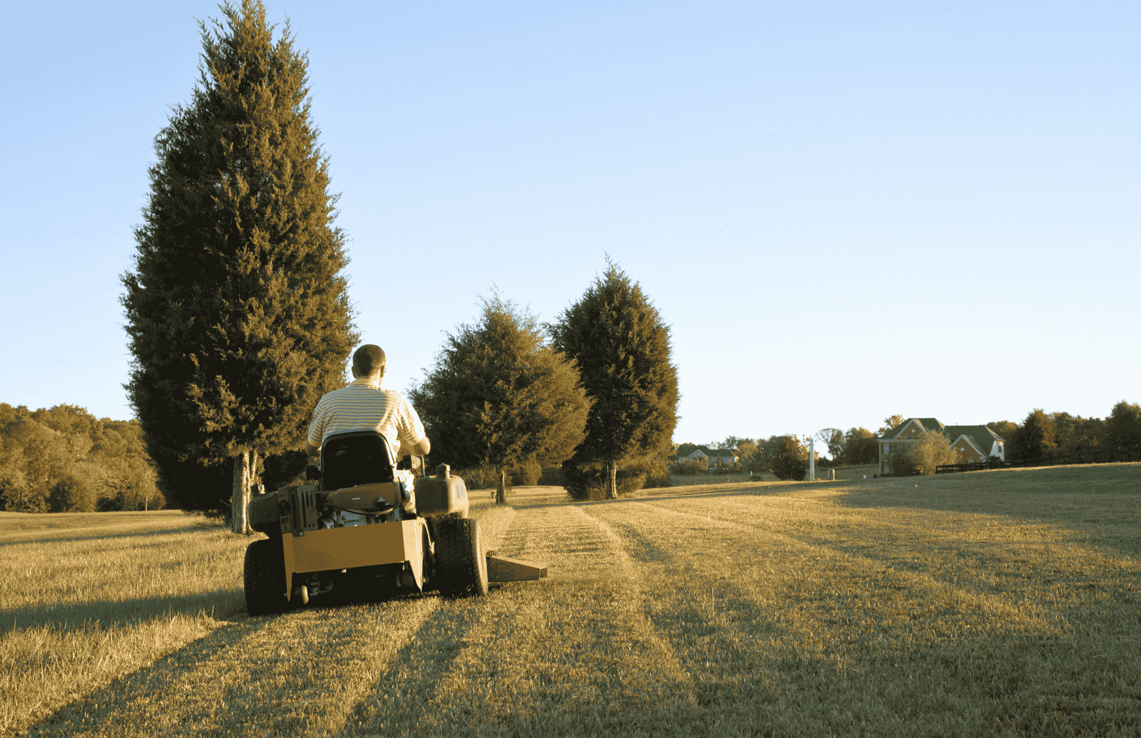 Large-Scale Ride-On Mowing Solutions